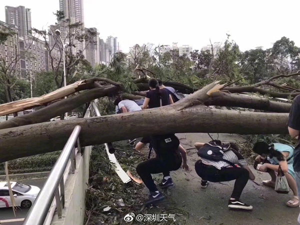 深圳台风最新动态，风雨中的小巷秘境与隐藏特色小店