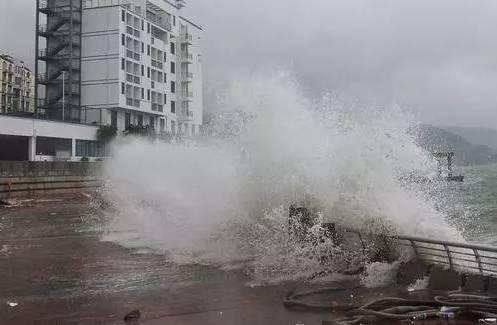 深圳台风最新动态,风雨中的小巷秘境与隐藏特色小店