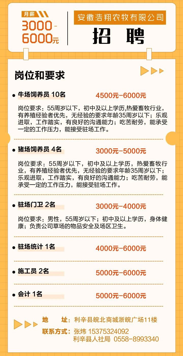 最新招聘信息大揭秘，职场奇遇与家的温馨融合