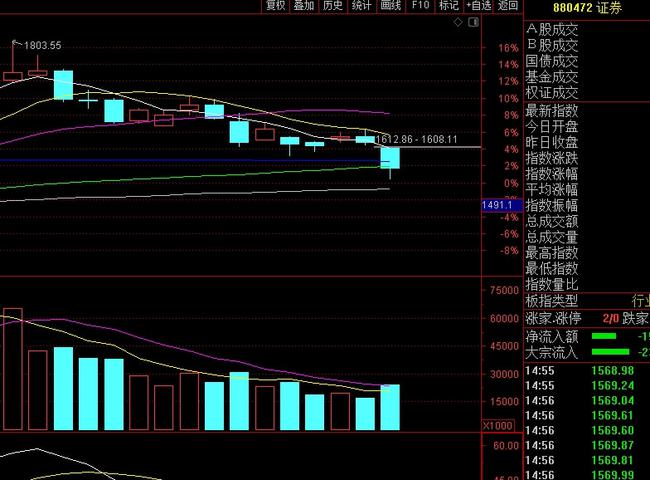 今日股票暴跌背后的原因与温馨故事探寻