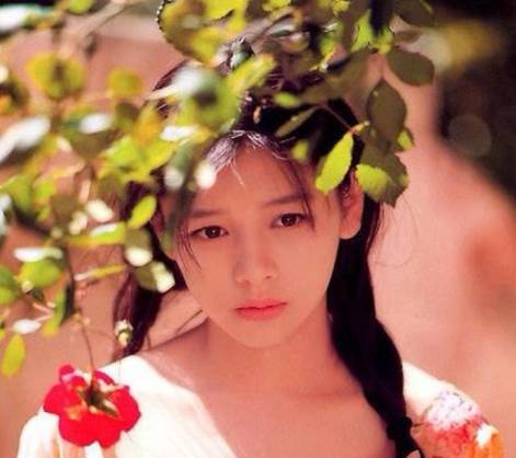 徐若瑄电视剧,自然美景的治愈之旅探索