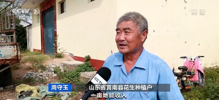 最近花生米行情与价格概览分析