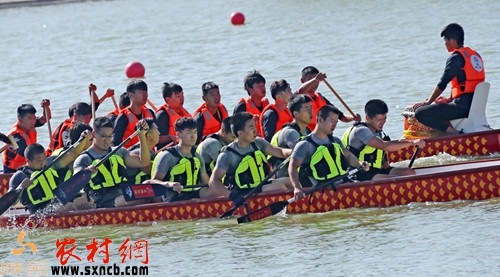 南京龙舟大赛盛况空前,热烈庆祝2017年南京龙舟比赛盛况空前!
