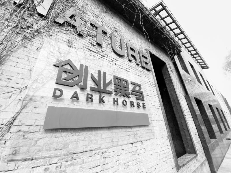 揭秘黑马创业上市之路，企业飞速成长的秘密与上市时间揭晓