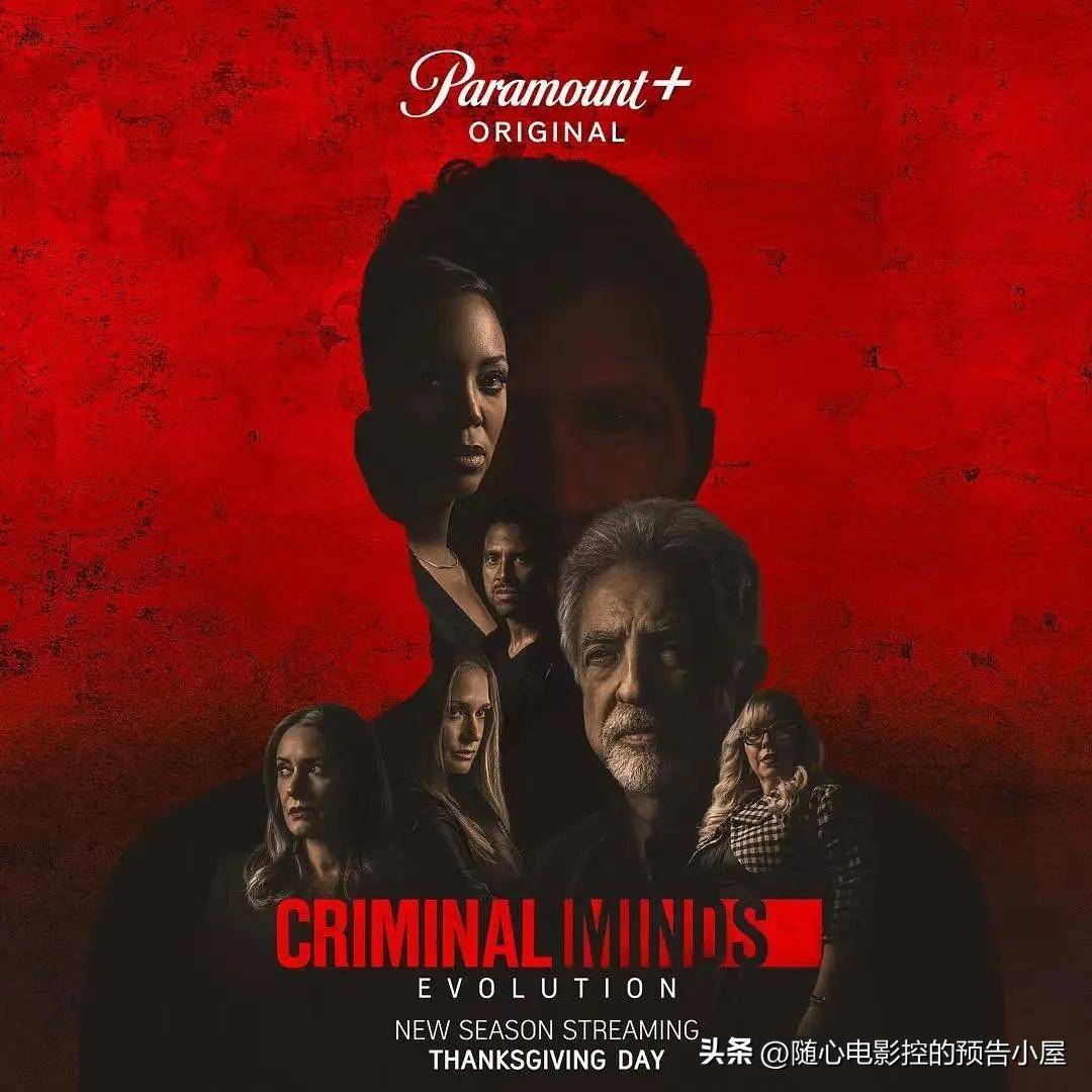 小巷深处的独特观影体验,禁映新片的挑战与魅力