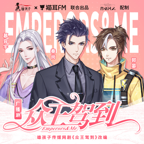 王码驾临最新篇章，详细步骤指南与进阶攻略