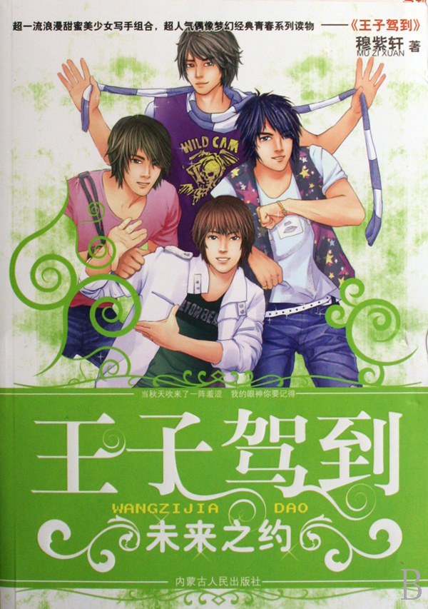 王码驾临最新篇章,详细步骤指南与进阶攻略