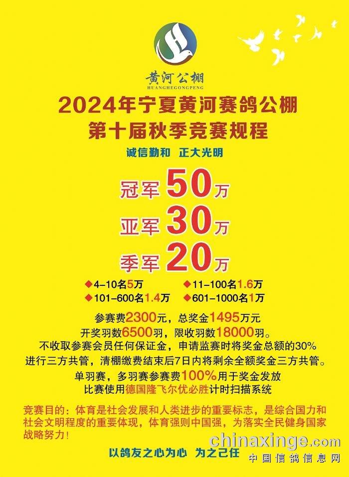 宁夏黄河赛鸽公棚最新通告发布