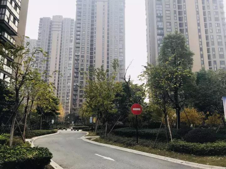 杭州最新楼盘探索之旅，自然美景尽收眼底