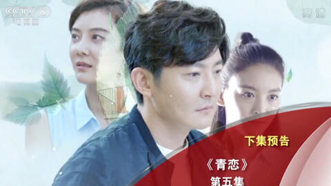 央视8台热播电视剧,家的温馨与友情的碰撞