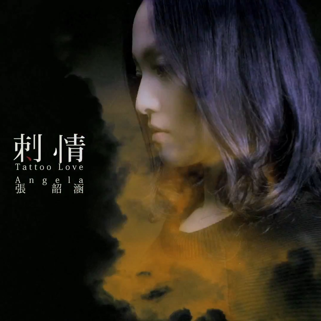 刺情演员表深度解读,角色与演员的魅力展现