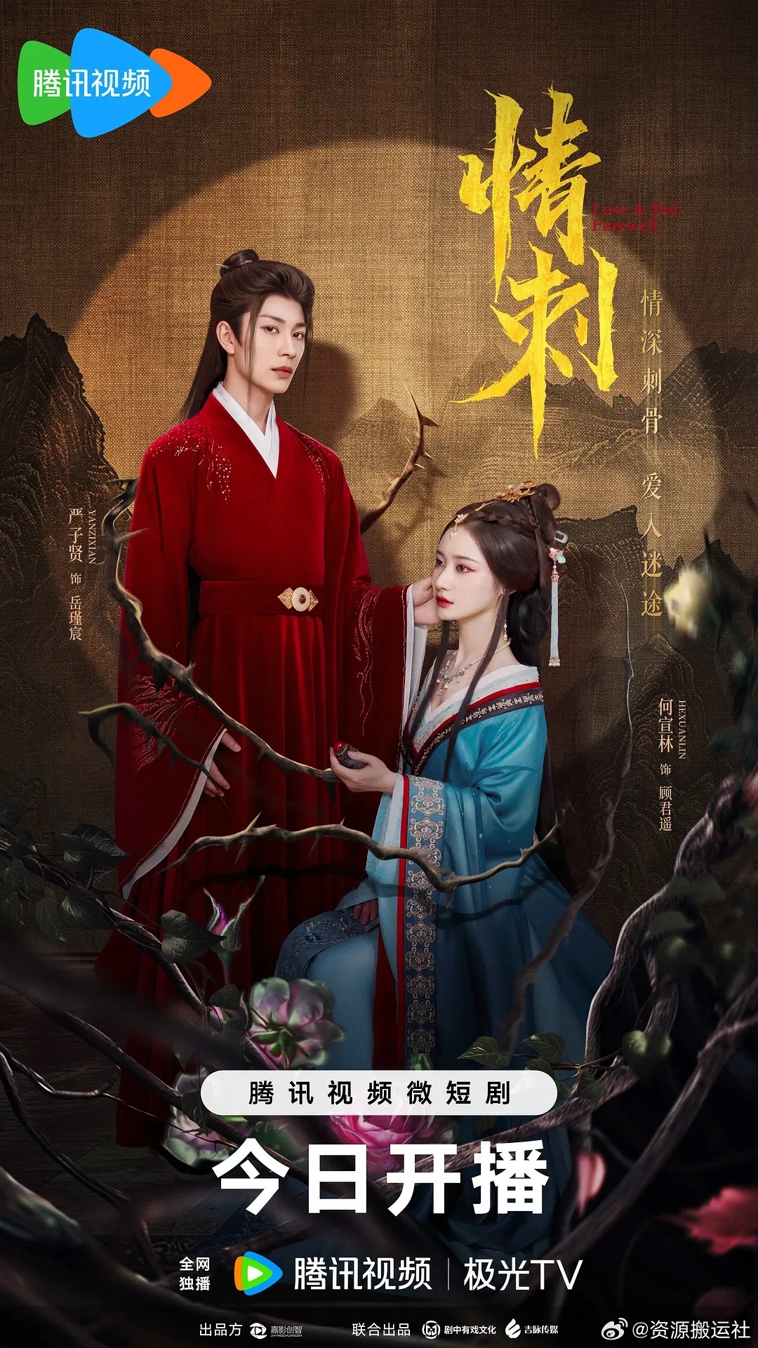 刺情演员表深度解读,角色与演员的魅力展现