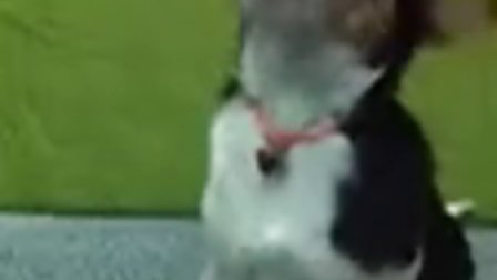 zzz13官网入口,友情与陪伴的启程之旅