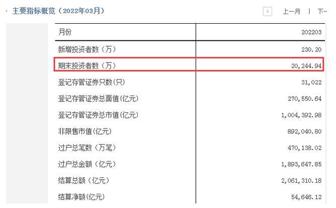 股票税之旅，探寻内心平静的探险之路