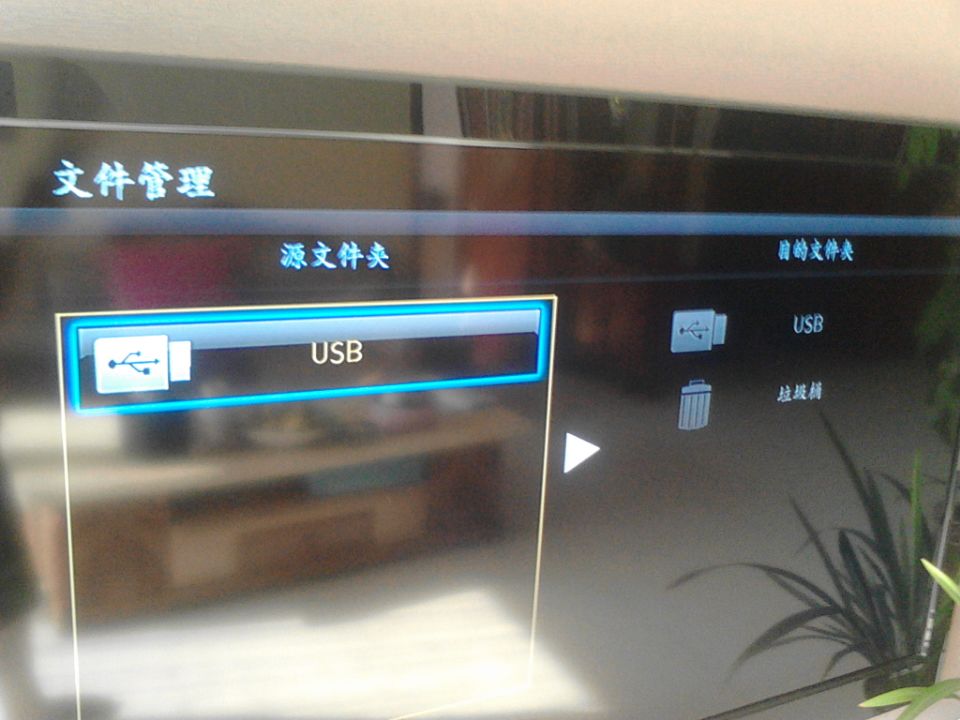 电视机上的U盘魔法时刻,一次奇妙的播放之旅