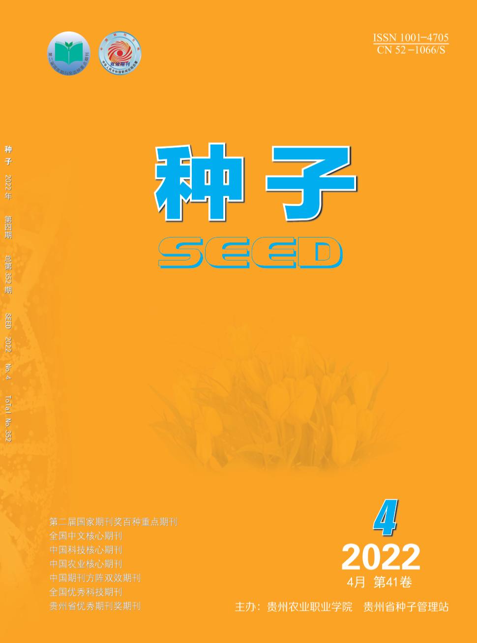种子最新版的背景、进展与地位概述