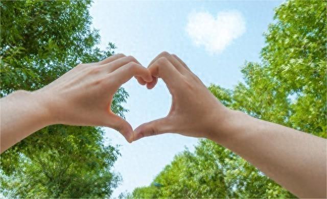 神秘邻居新篇章,未知探索与警惕之心之旅