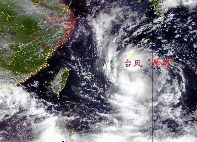 关于台风最新消息，四号台风深度分析与实时动态更新