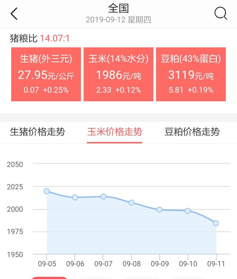玉米行情最新动态及分析概览