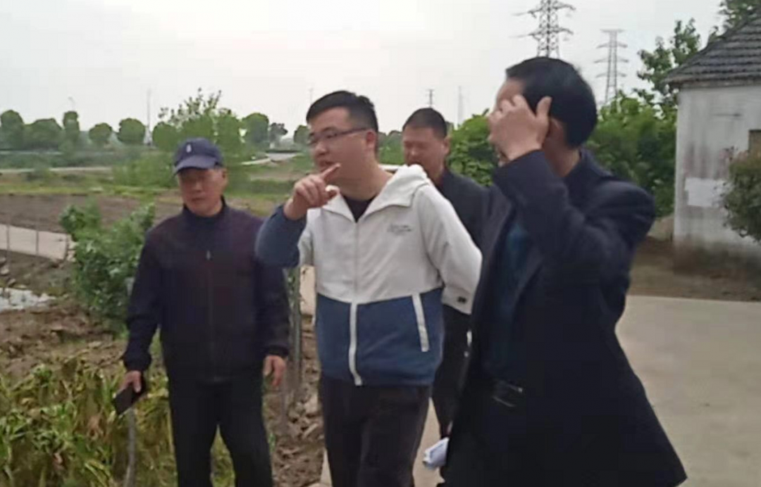 芜湖县陶良干自然探索之旅,最新动态揭秘秘境之旅