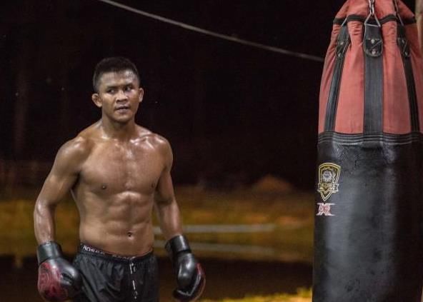 泰拳演员,背景、生涯与地位的深度探究