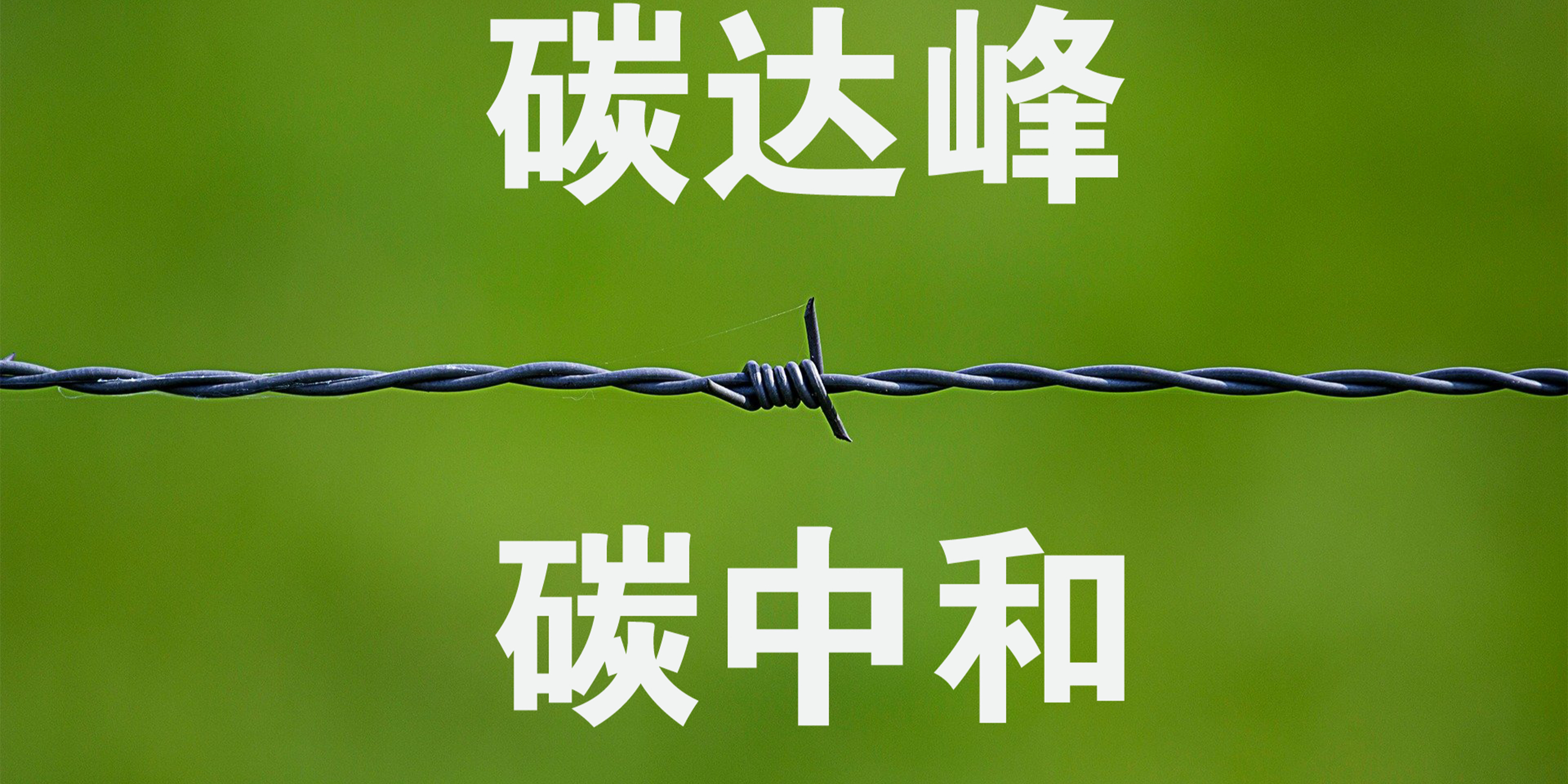 2025年伤感图文分享,小巷特色小店中的情感印记