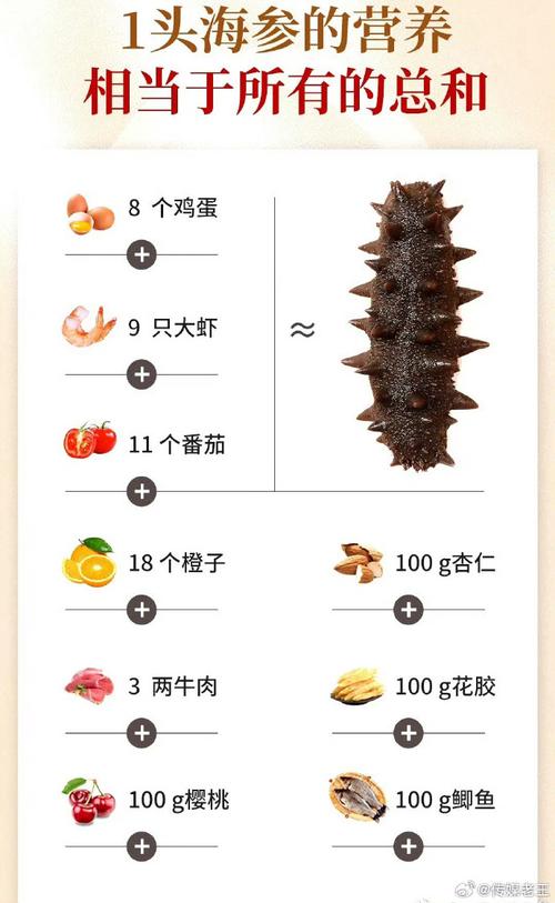 小巷深处的海参奇遇，探寻海参价格之谜
