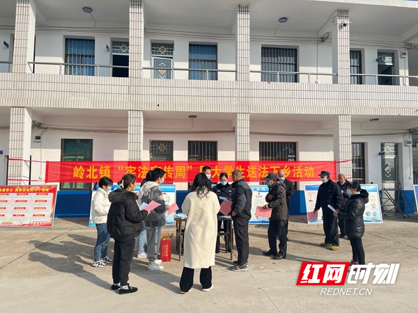 湘阴县岭北镇建设最新动态