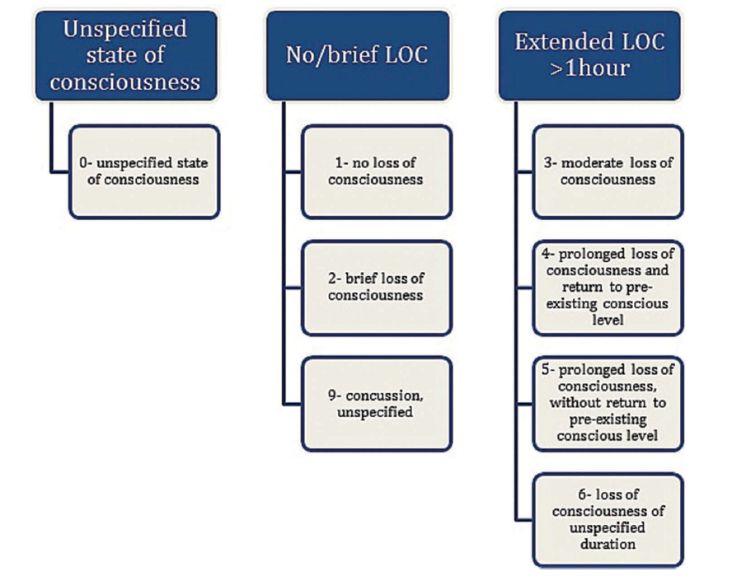 最新临床意识状态分级步骤指南及详解
