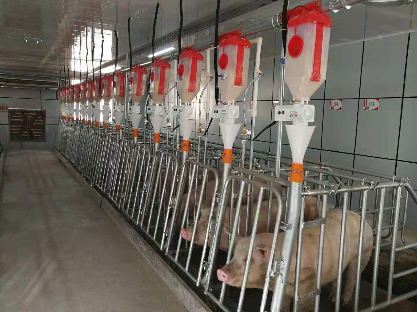猪场饲养员职位招聘全攻略，步骤指南