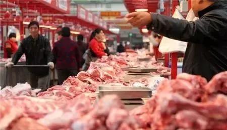 猪肉疫情动态，探寻内心平静的猪肉之旅