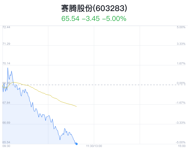 赛腾股票,投资新焦点热议