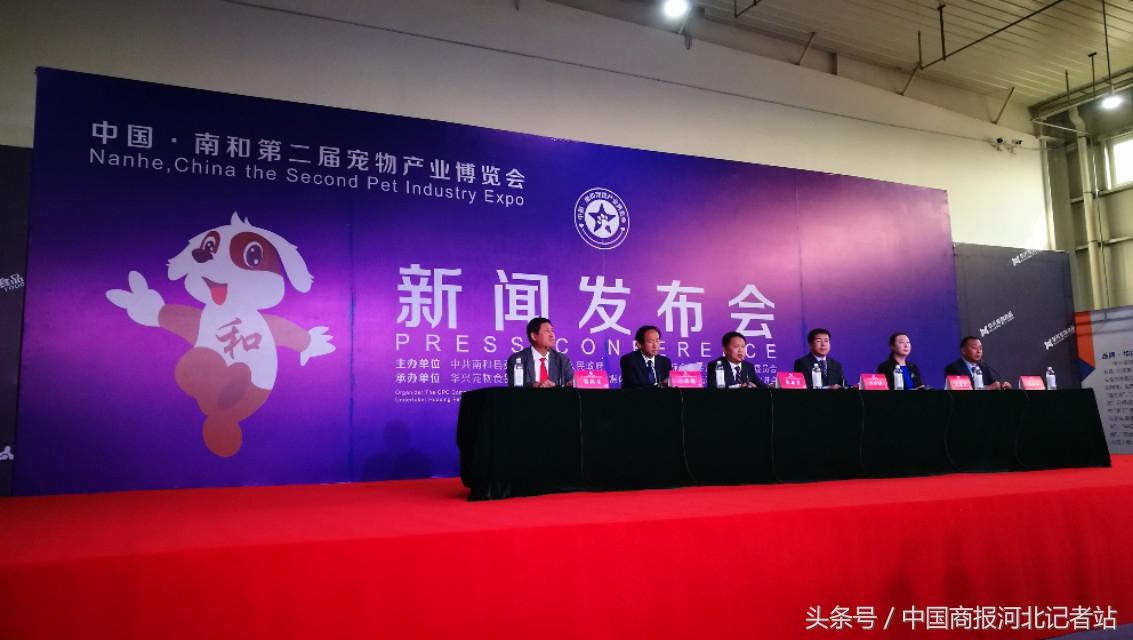 南和新闻最新消息,南和新闻最新消息，变化中的力量，学习带来的自信与成就感