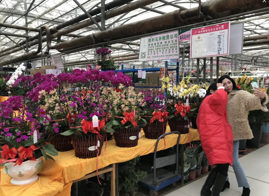 长寿最新招聘信息,科技革新引领未来长寿之旅招聘启事