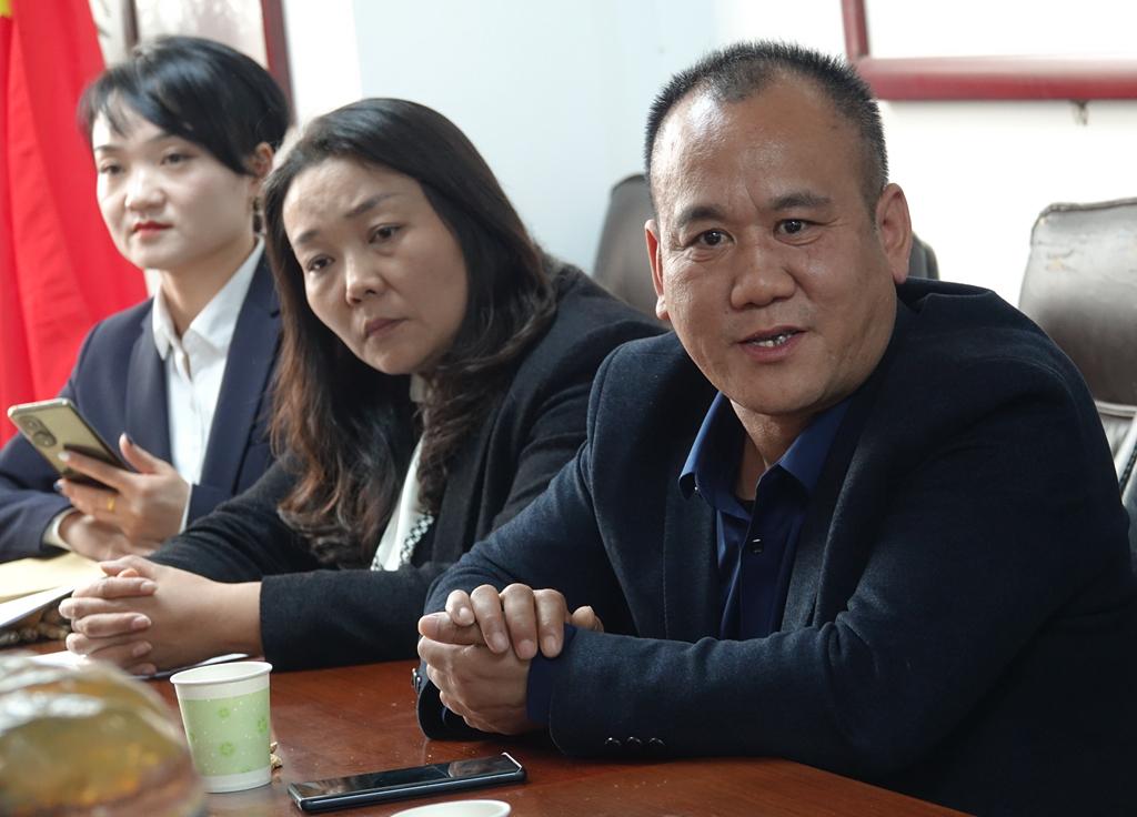 洛阳市最新新闻,拥抱自然,心灵宁静之旅探寻