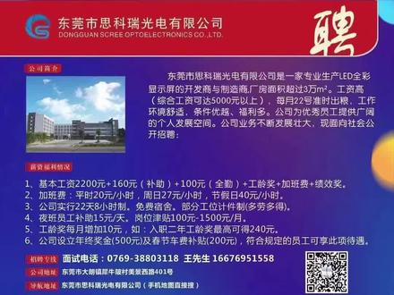 LED招聘网最新招聘信息,小巷中的求职奇遇与隐藏宝藏探索
