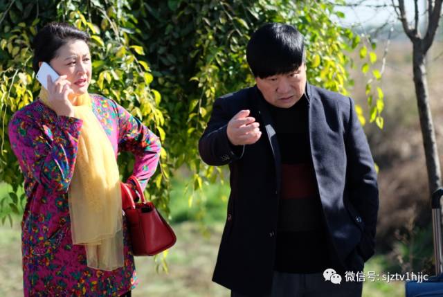 最新乡村电视剧,自然美景之旅,内心的平和探索