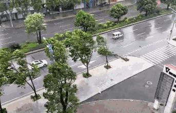 台风卡努最新动态,影响分析及其进展