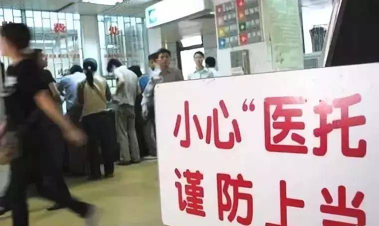 最新医托，心灵与自然的奇妙旅程