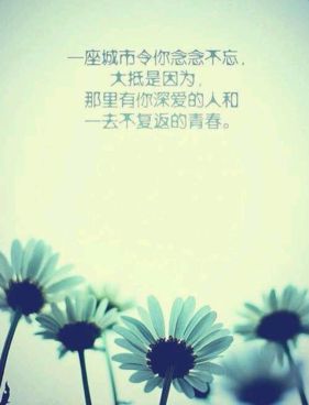 电动旗杆 第150页