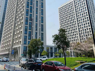 杭州最新楼盘概览,繁华都市的理想居住地