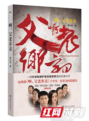 最新反腐电视剧，观看与理解的步骤指南