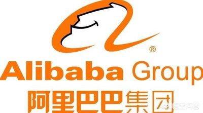 阿里巴巴招聘网最新招聘动态，热门岗位与发展趋势探寻
