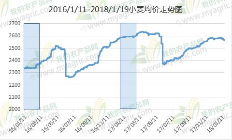 科技引领未来，小麦市场最新行情及价格走势洞悉