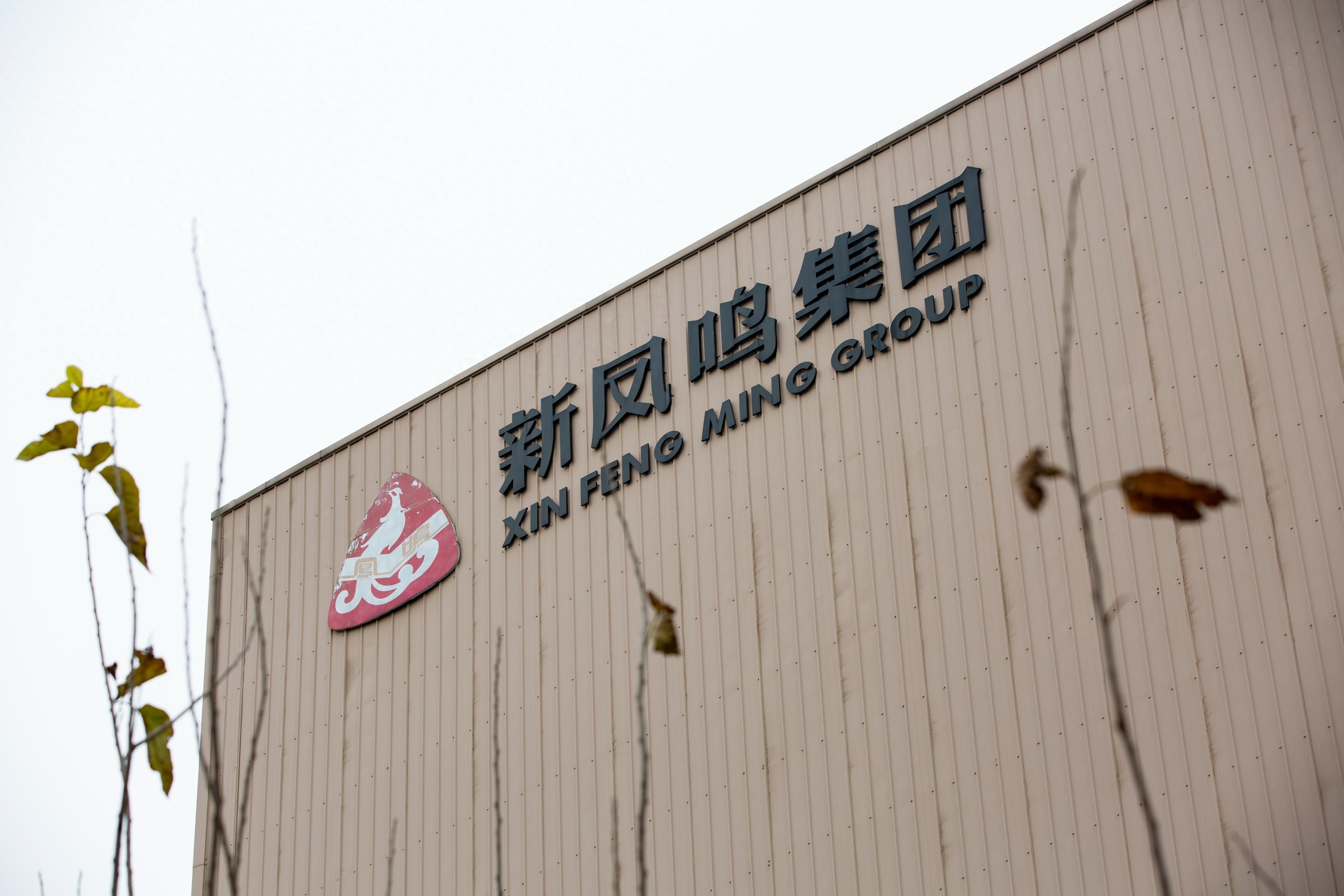 新凤鸣最新动态，引领纺织行业创新发展的先锋力量