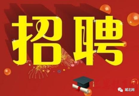 石家庄最新招工信息揭秘，小巷中的隐藏职业宝藏