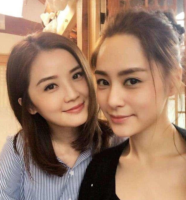 阿娇最新综艺节目深度剖析，影响与启示探讨