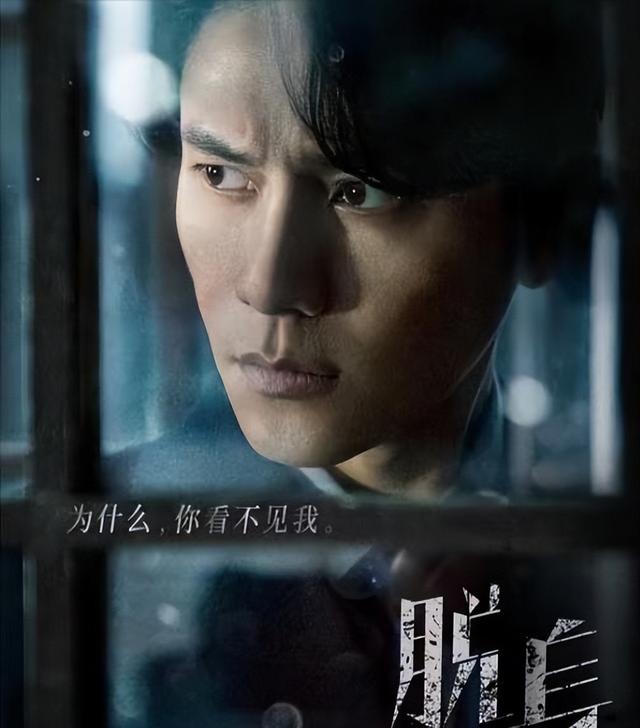 探索自然美景与内心宁静，免费启程的宅宅之旅