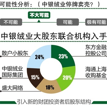 盛大游戏借壳最新动态,热议与各方观点探析