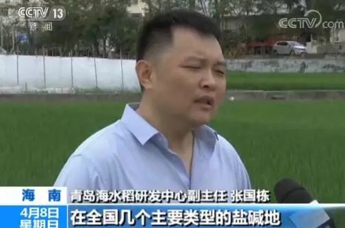 张国栋中将最新消息揭秘,关注军事新闻的步骤指南